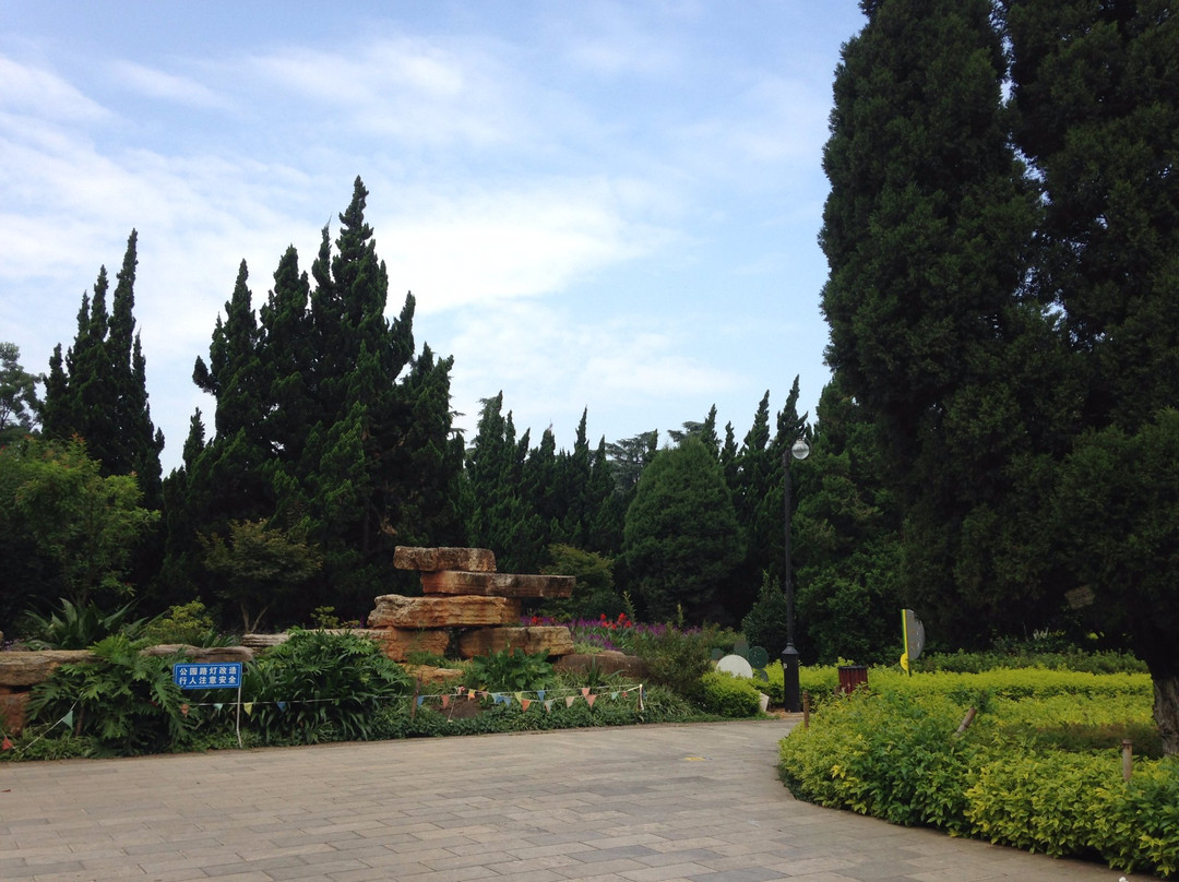 聂耳公园景点图片