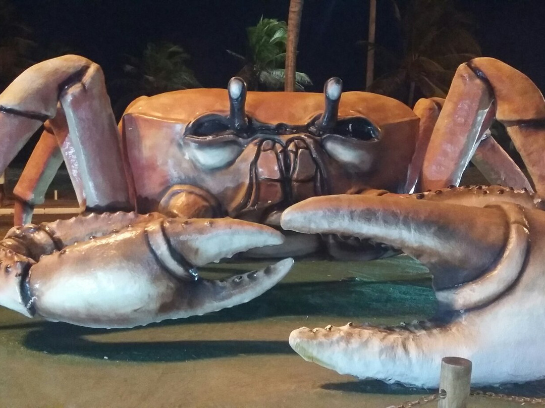 Passarela Do Carangueijo