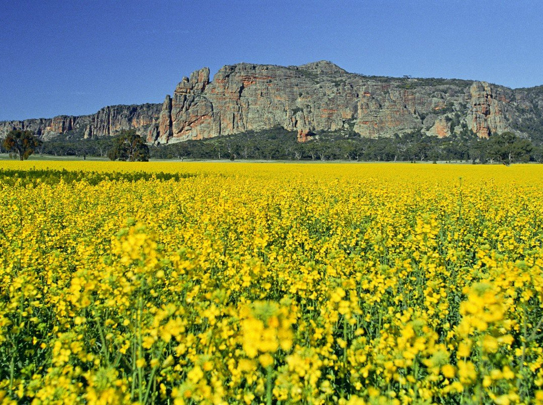 格兰屏旅游攻略图片