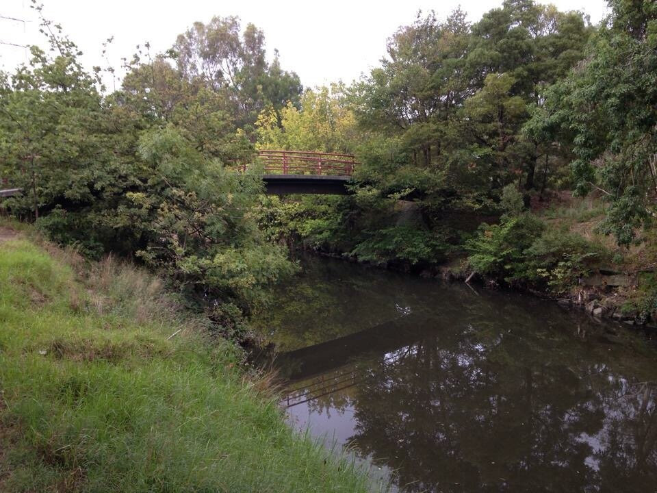Glen Iris Park Wetlands景点图片