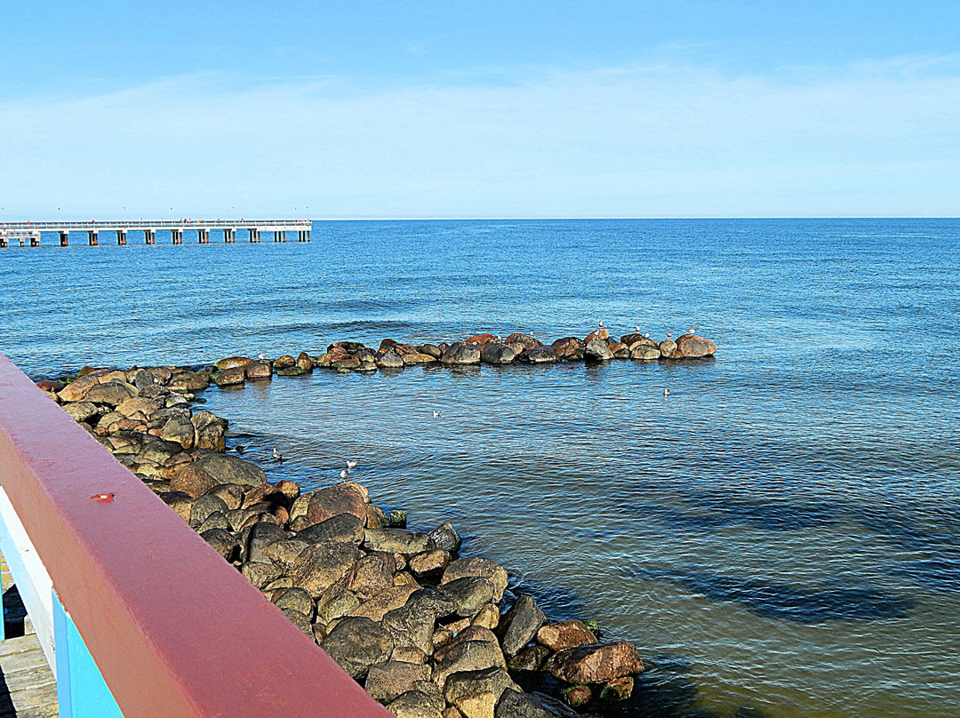 Palanga Beach景点图片