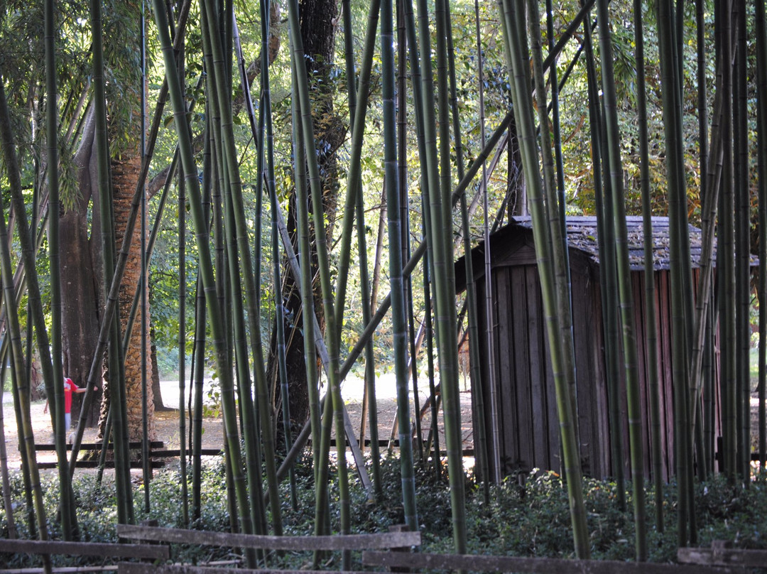 Choupal National Forest-科英布拉区必去景点