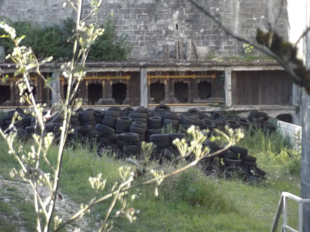 Fort de Chaudanne景点图片