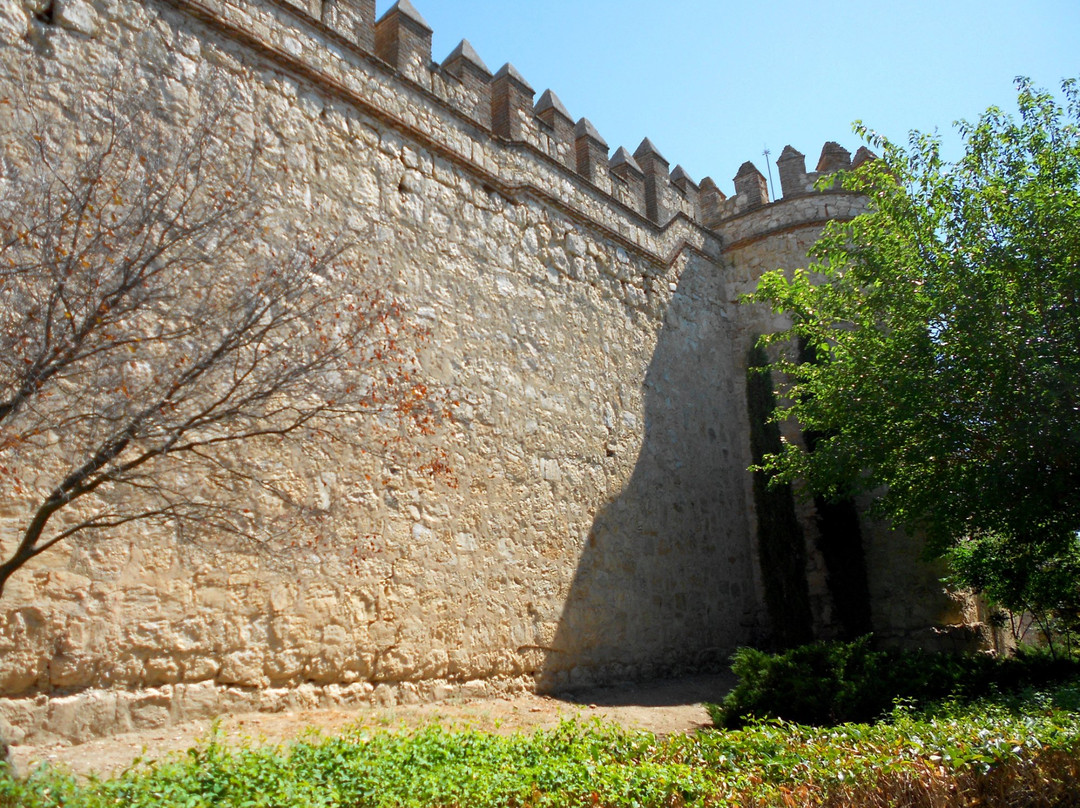 Castillo de la Vela景点图片