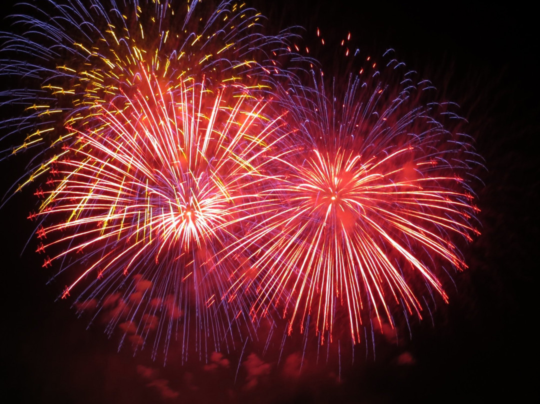 Tsuchiura All Japan Fireworks Competition-土浦市必去景点
