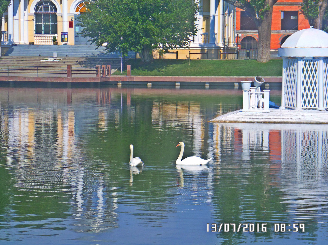 Swan Lake-阿斯特拉罕必去景点