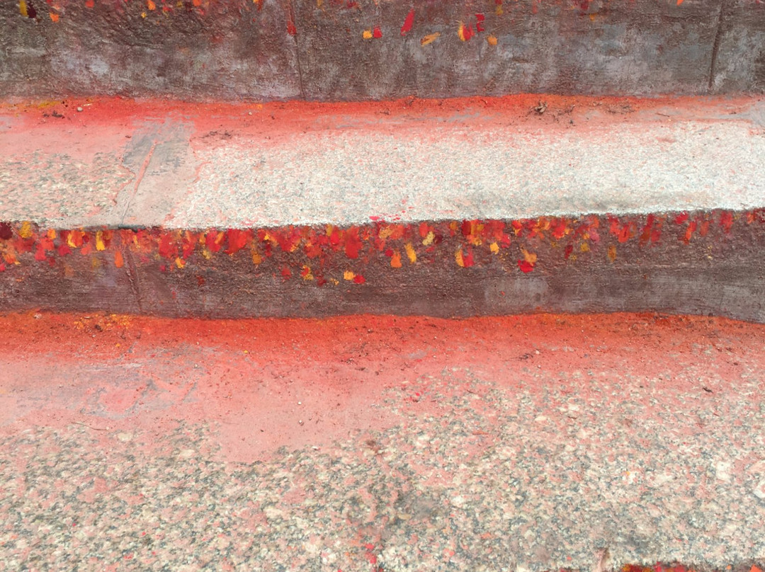 GoMowgli景点图片