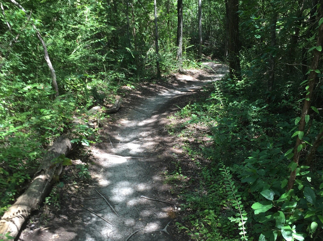 Boulder Park-达拉斯必去景点
