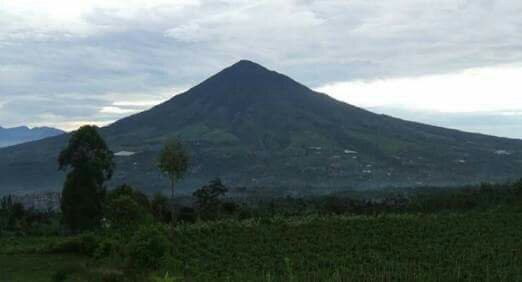 Mount Cikuray景点图片