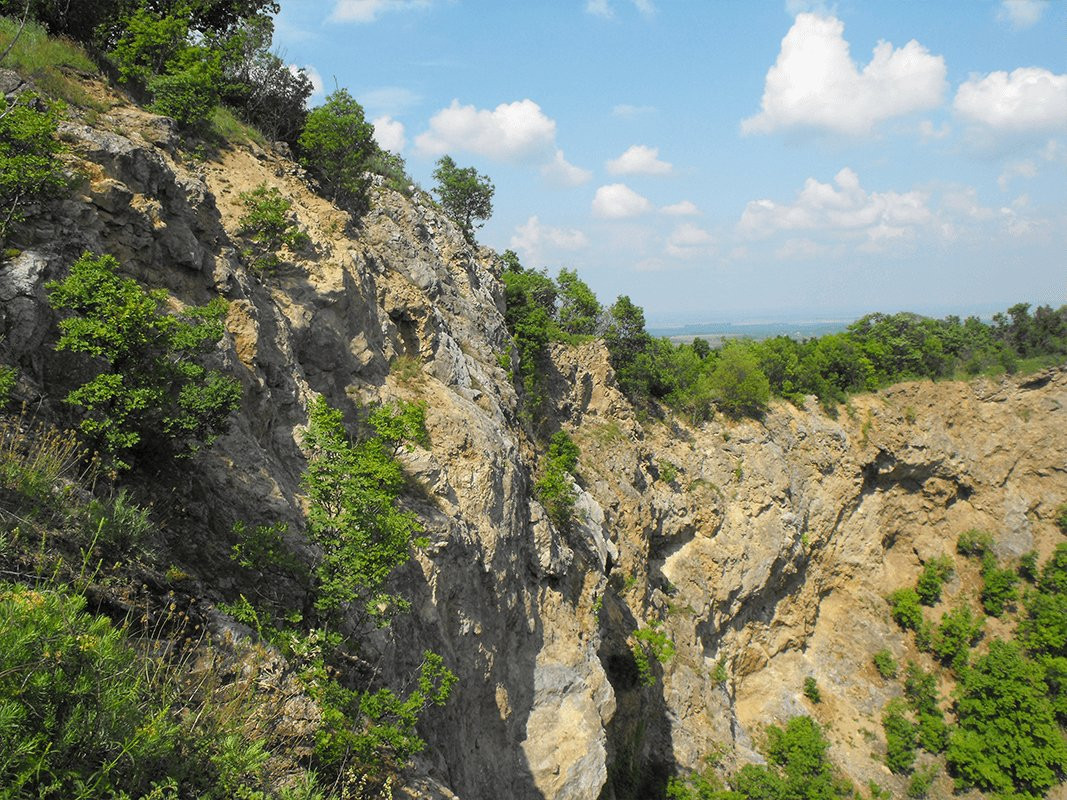 Barbeque on Fruška gora景点图片