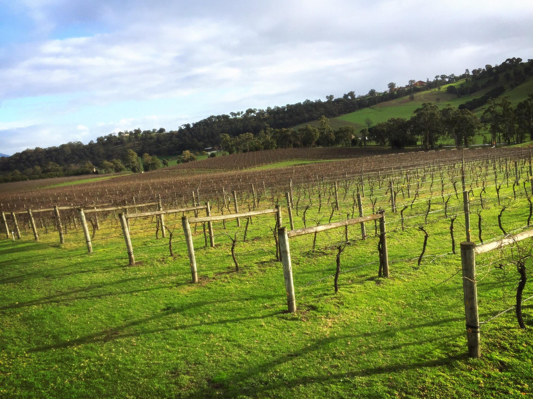 Yarra Valley Winery Tours-Lilydale必去景点