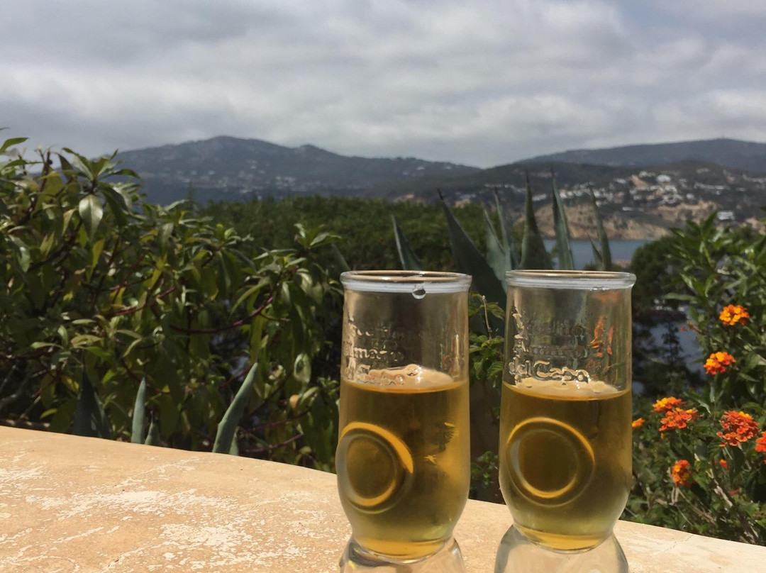 Hotel Las Brisas de Ibiza主图