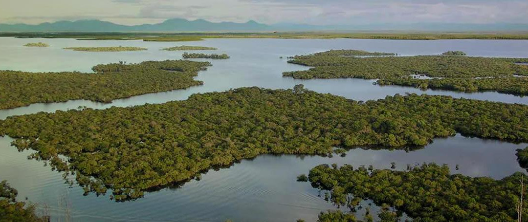 Sentarum Lake-坤甸必去景点
