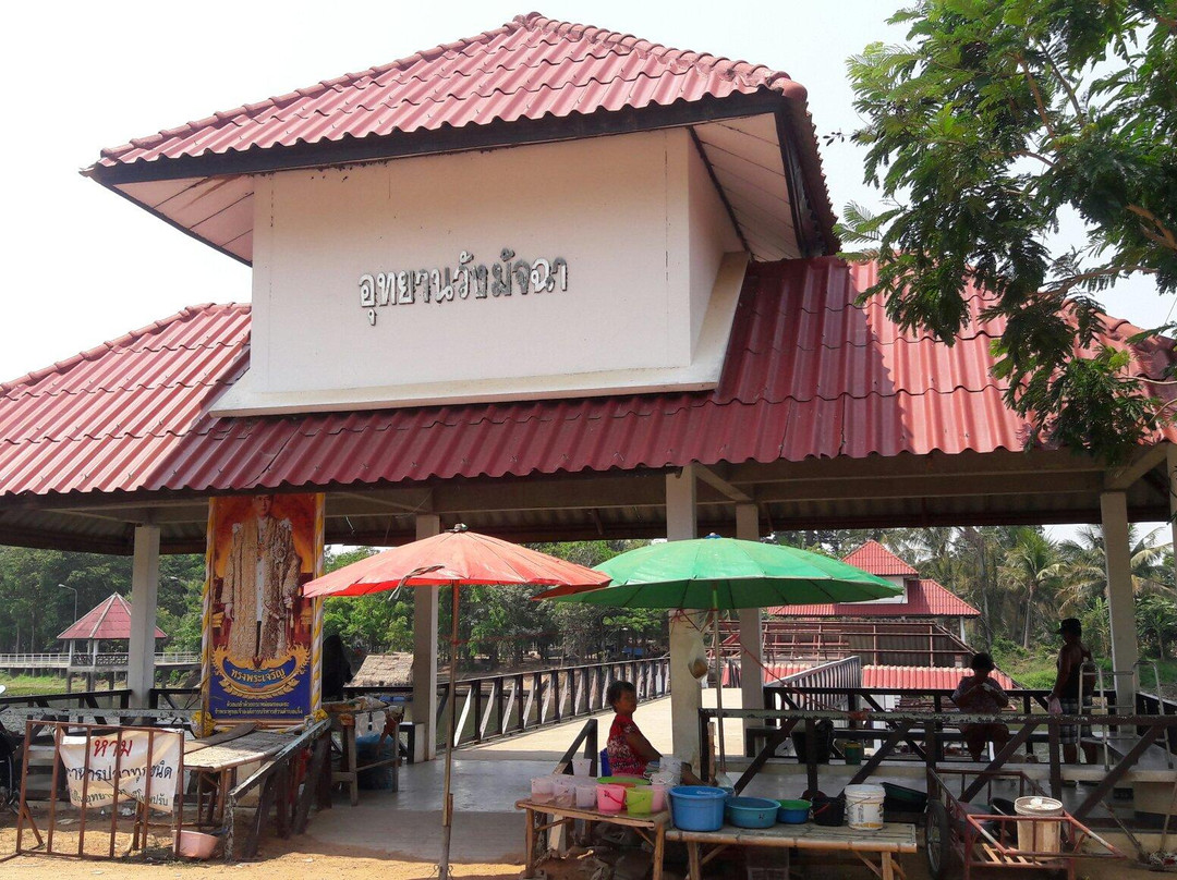 Khong Kut Wai Fish Sanctuary景点图片