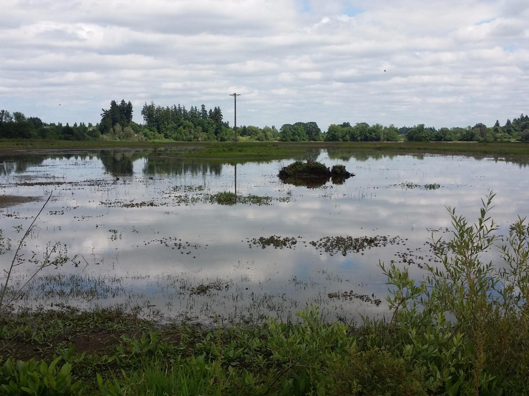 Jackson Bottom Wetlands Preserve-希尔斯伯勒必去景点