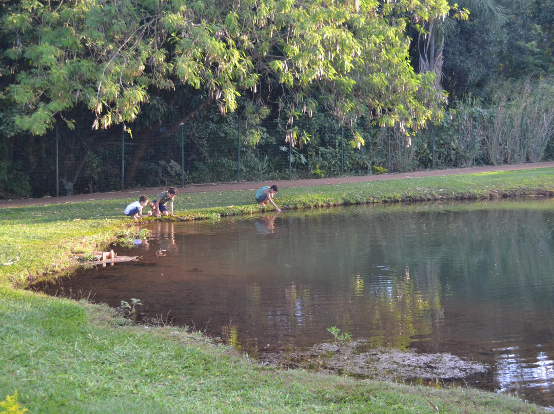 Parque Ecologico Diacui-Jatai必去景点