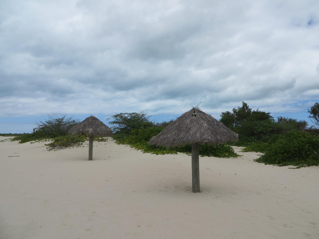 Pink Sand Beach-巴布达必去景点