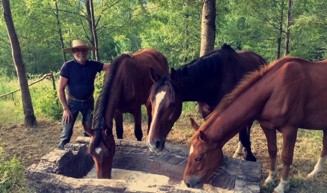 Huepil Malal-普孔必去景点