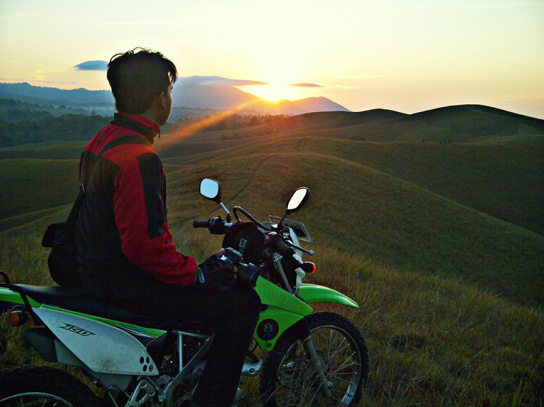 Taman Nasional Rawa Aopa Watumohai景点图片