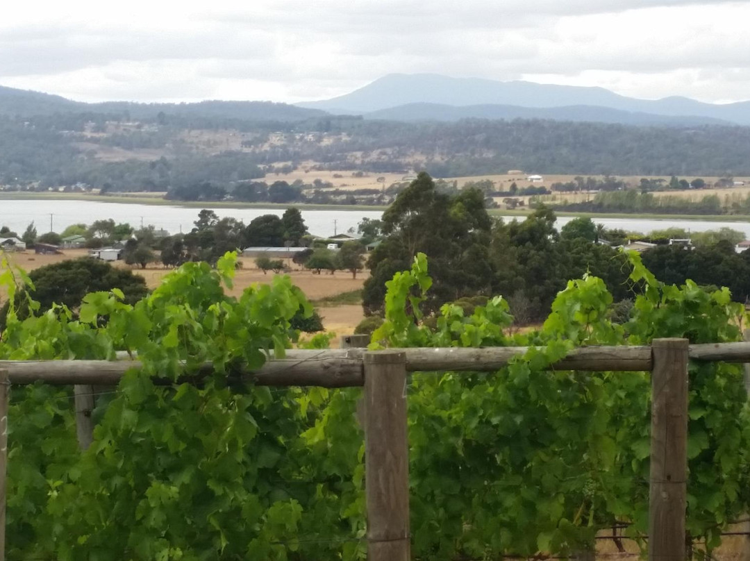 Windermere旅游景点-Stoney Rise Vineyard