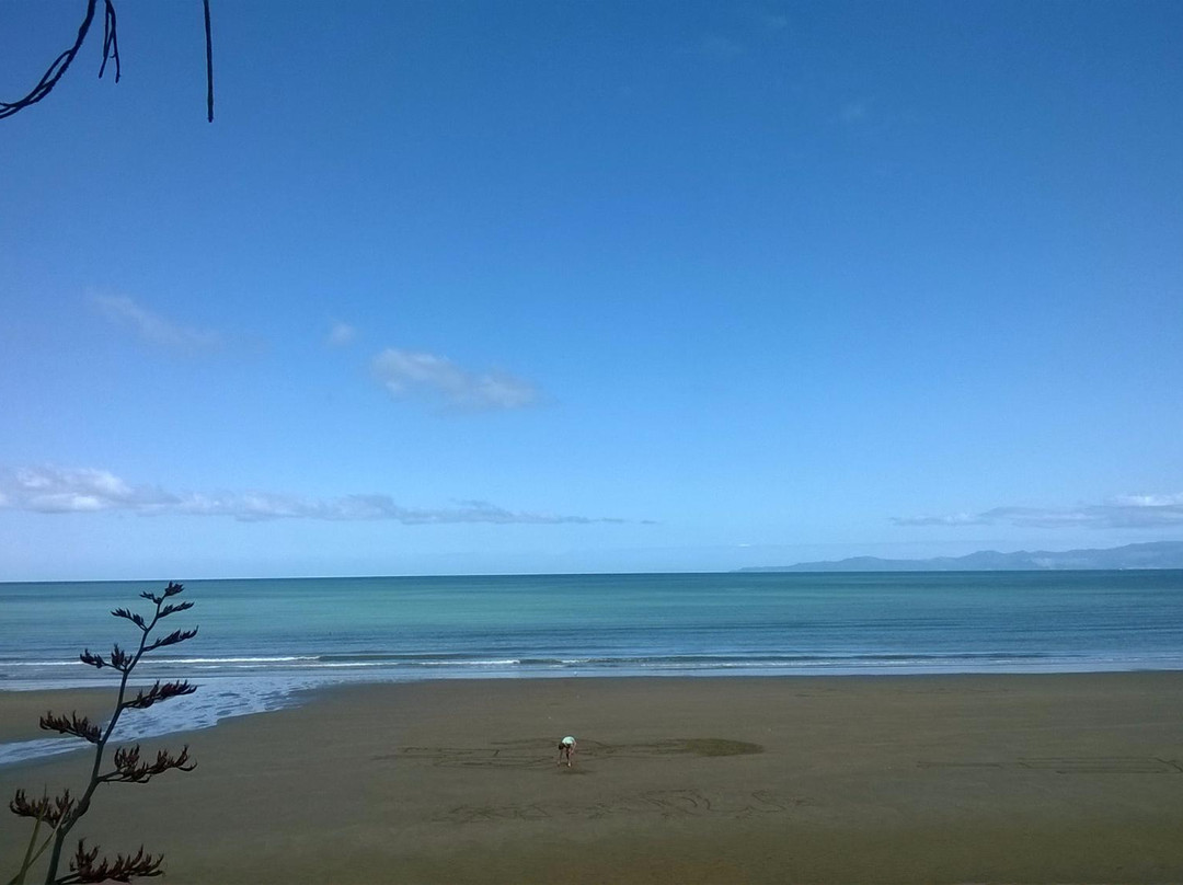 Pakawau Beach Camp