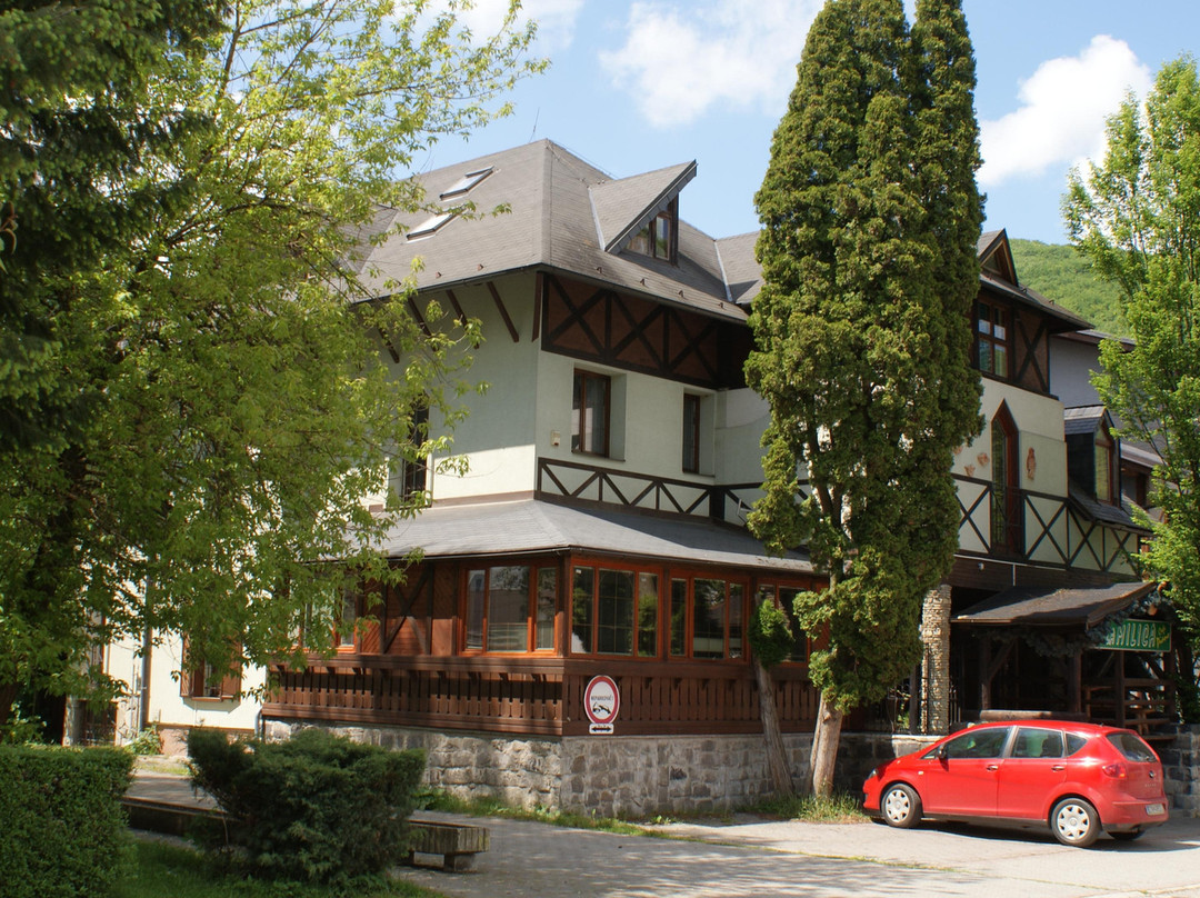 Vila Milica