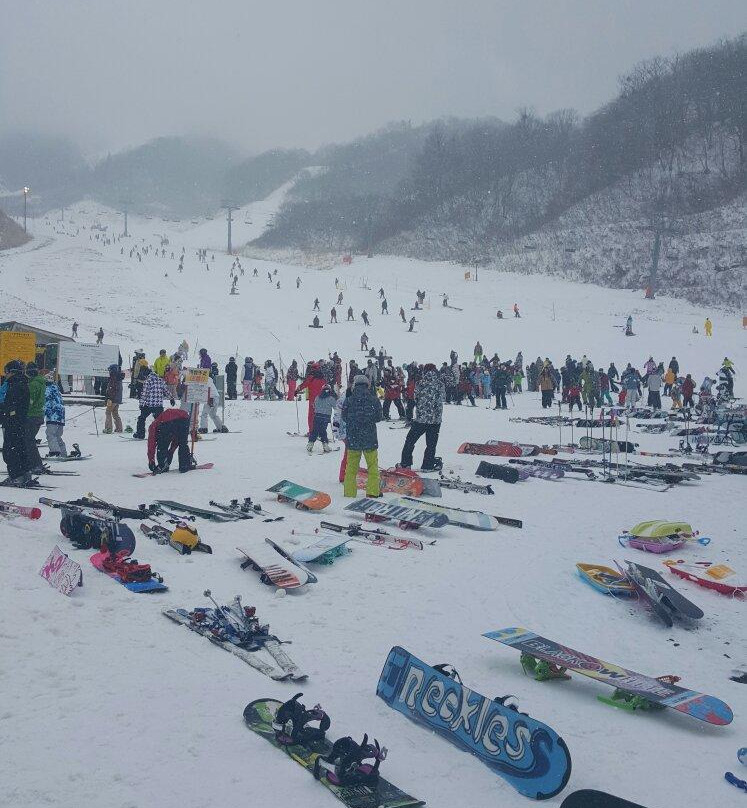 White Pia Takasu Ski Area-郡上市必去景点