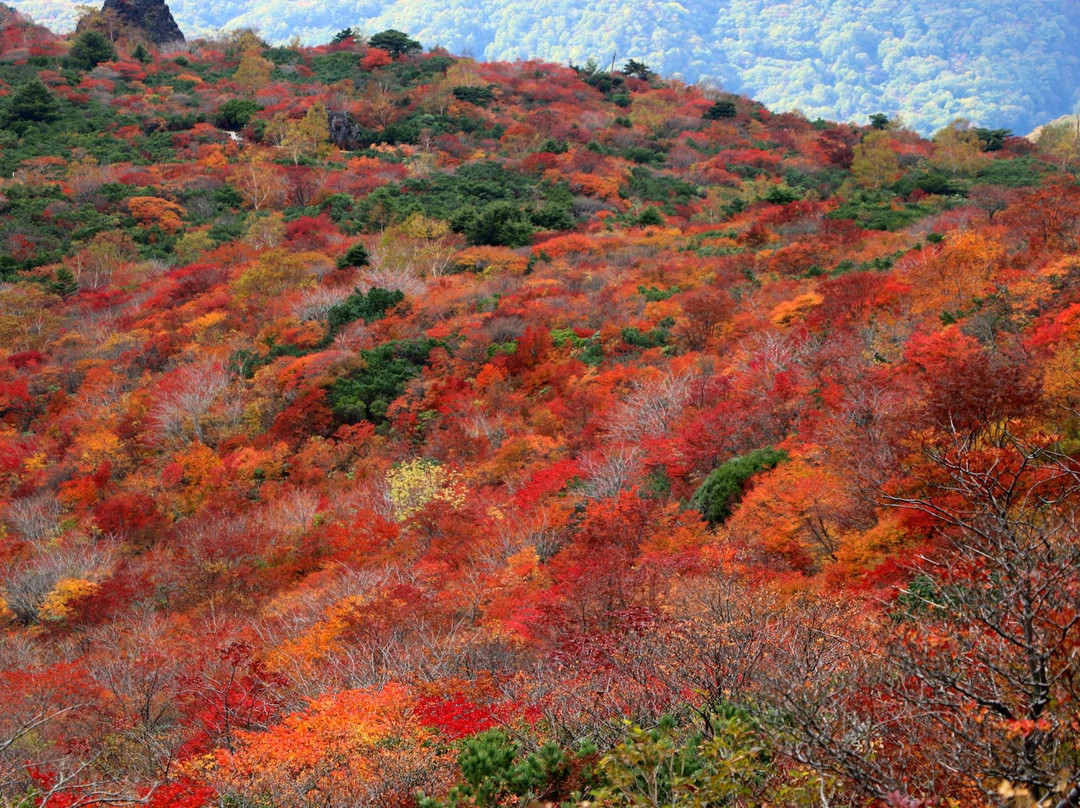 Mount Nasudake-那须町必去景点