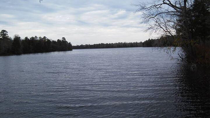 Belleplain State Forest景点图片