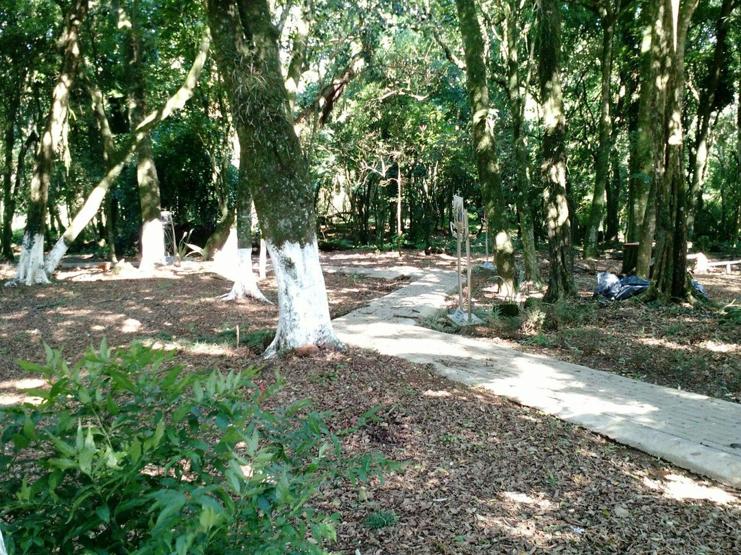 Santuario Mariano de Schoenstatt- Tabor das Vocacoes-Guarapuava必去景点