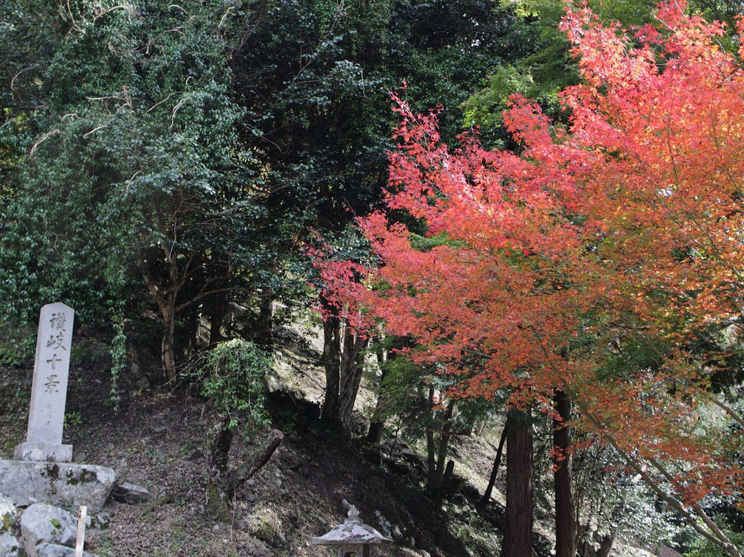 Mikado Gorge景点图片