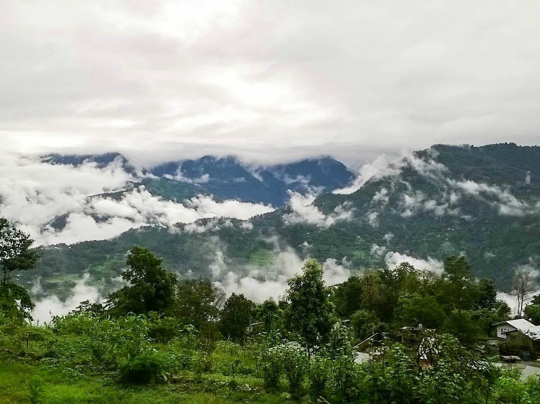 Travel Vista Homestays主图