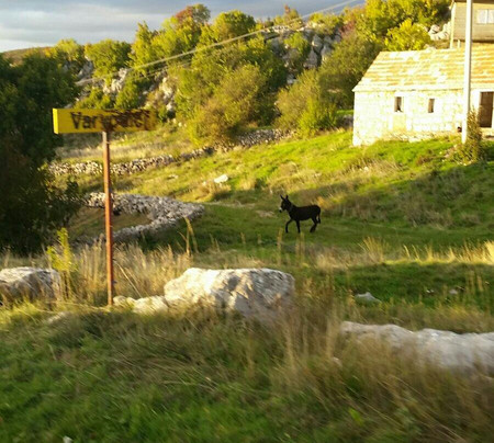 Asteria Quad ATV Adventures-斯普利特必去景点