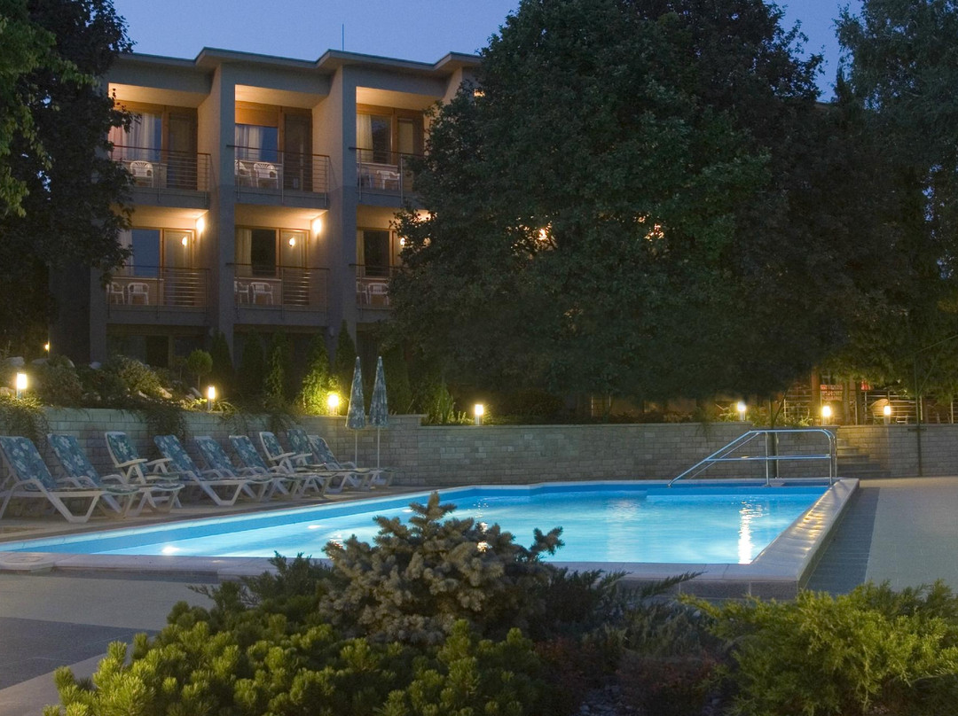 Hotel Villa Pax主图