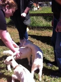 Providence Farm-下碧池蒙特区必去景点