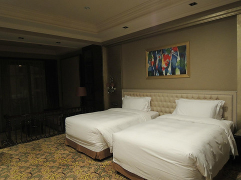 成都雅居乐豪生大酒店主图