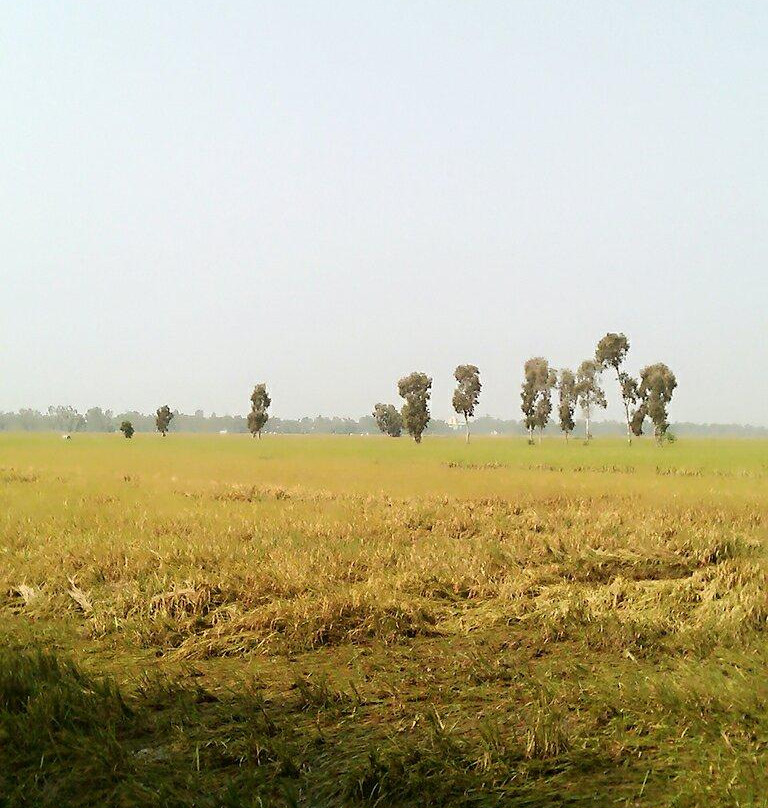 Can Duoc Market-Can Duoc必去景点