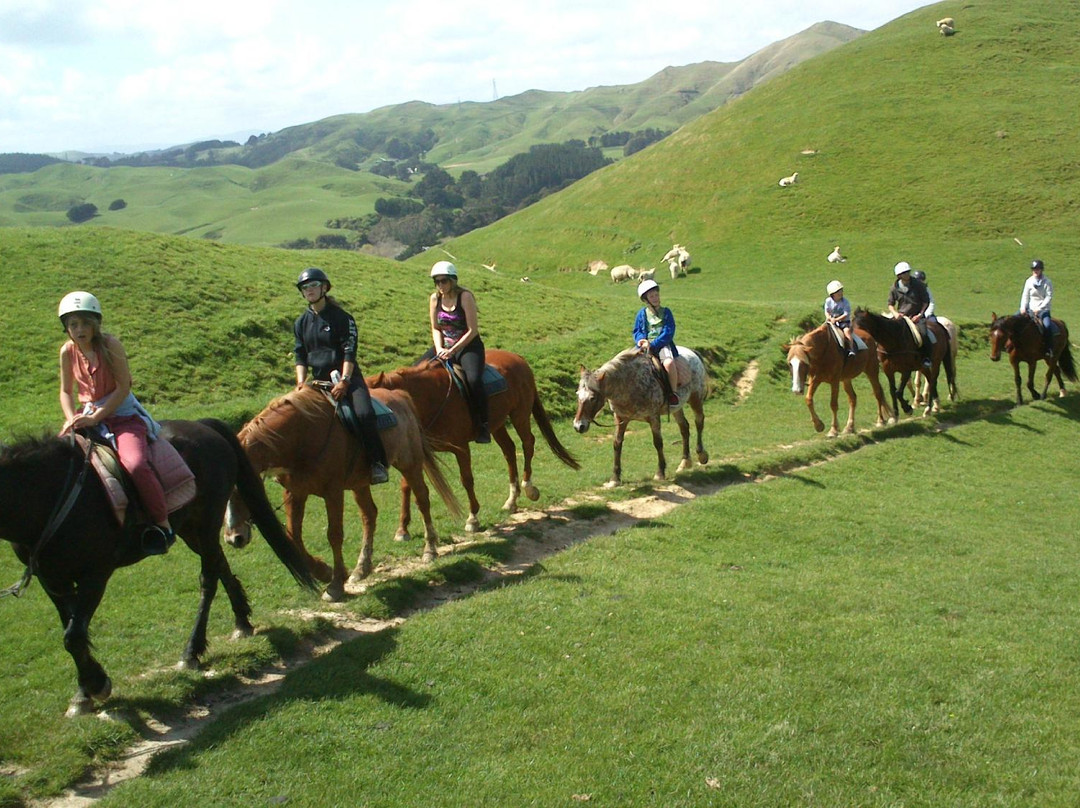 Ohariu Valley Equestrian Centre景点图片