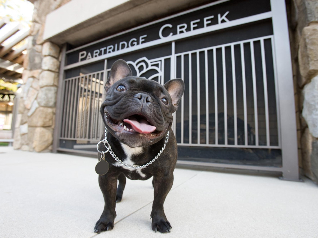 The Mall at Partridge Creek-Clinton Township必去景点