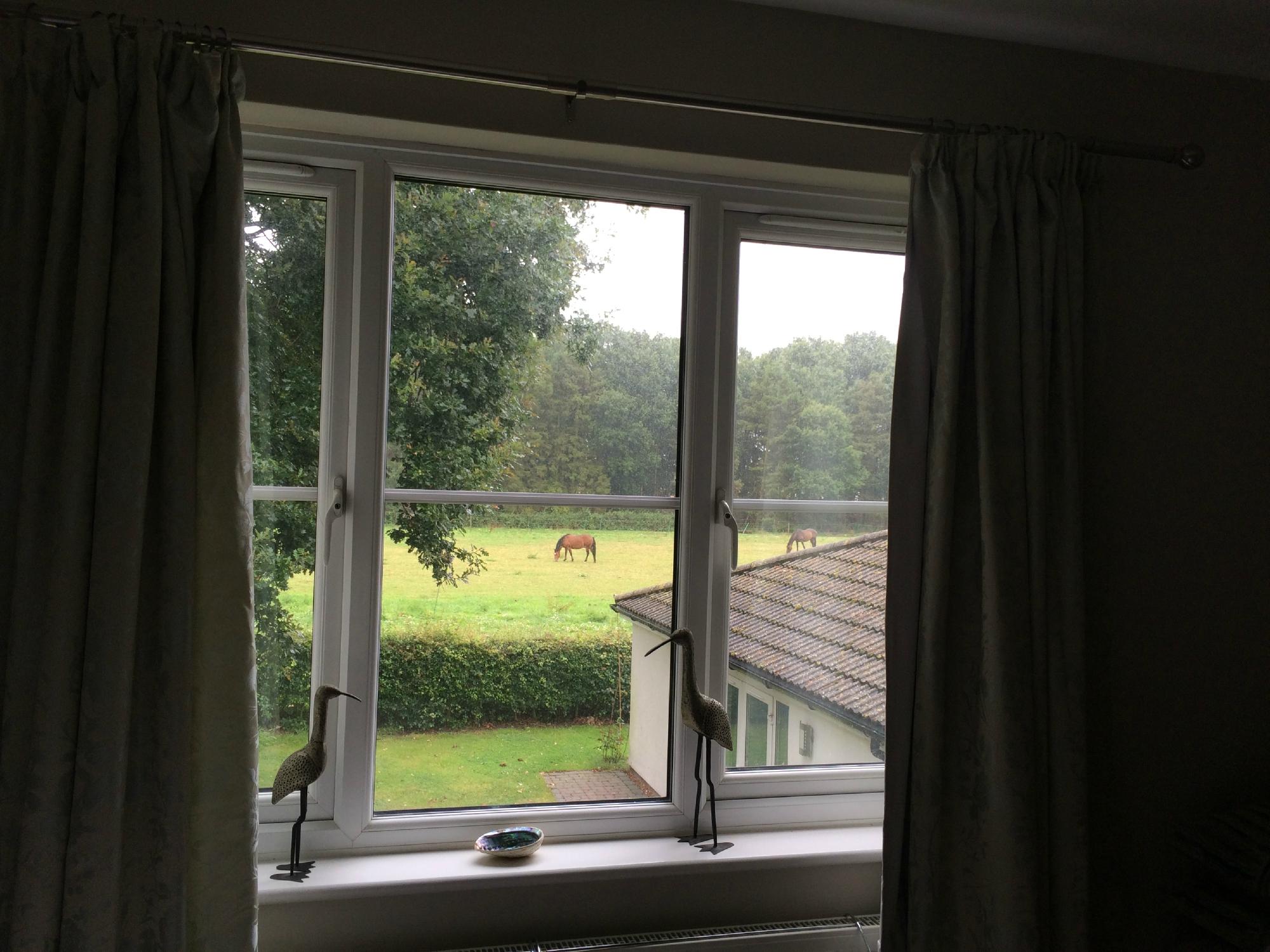 Oaklands Farm Bed and Breakfast-客卧