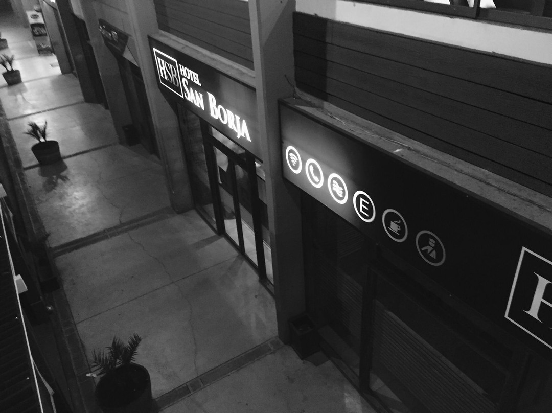 Hotel San Borja主图
