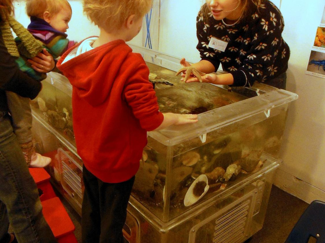 Coastal Children's Museum-罗克兰必去景点