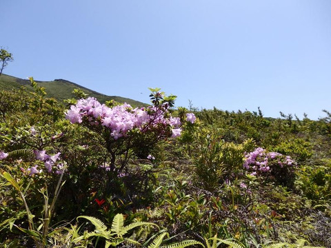 Suwanose Island-十岛村必去景点