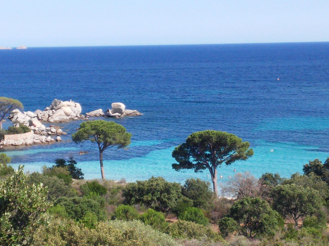 Plage de Tamaricciu-维琪奥港必去景点