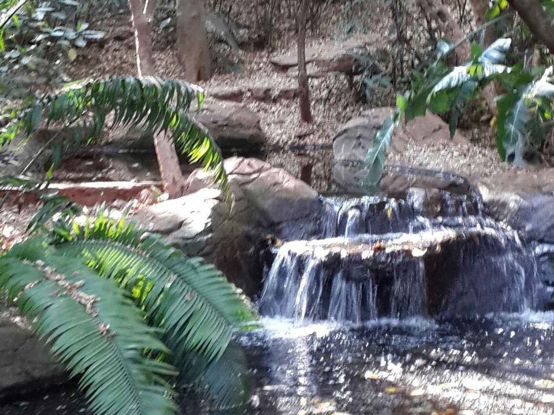 Pretoria National Botanical Garden景点图片
