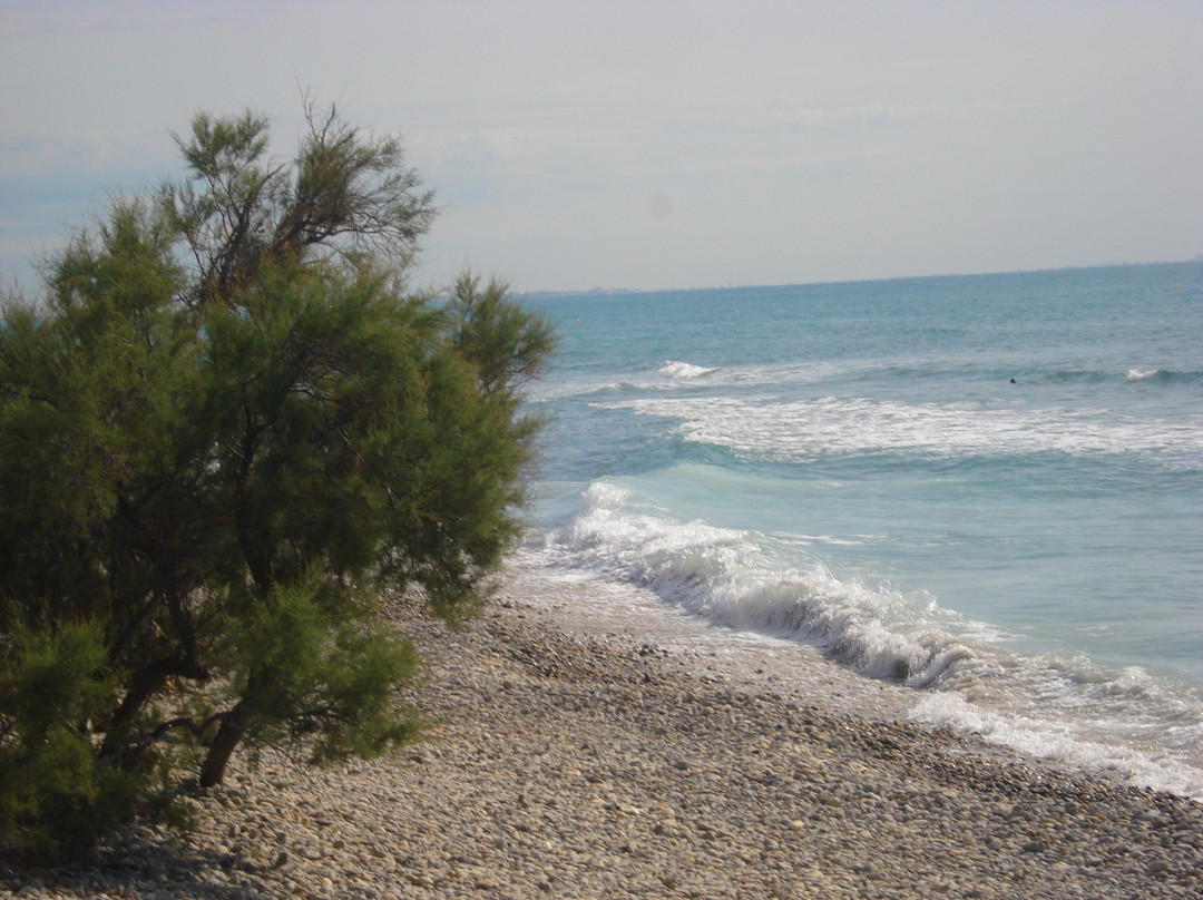 Plage des Aresquiers景点图片