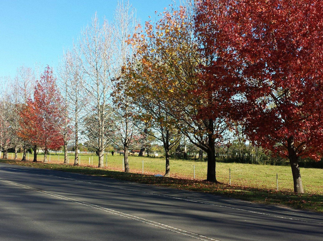 Macarthur Park-Camden必去景点