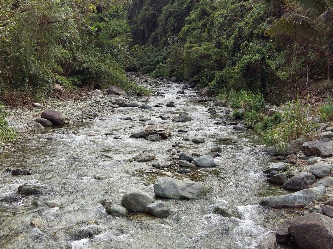Cunayan Falls景点图片