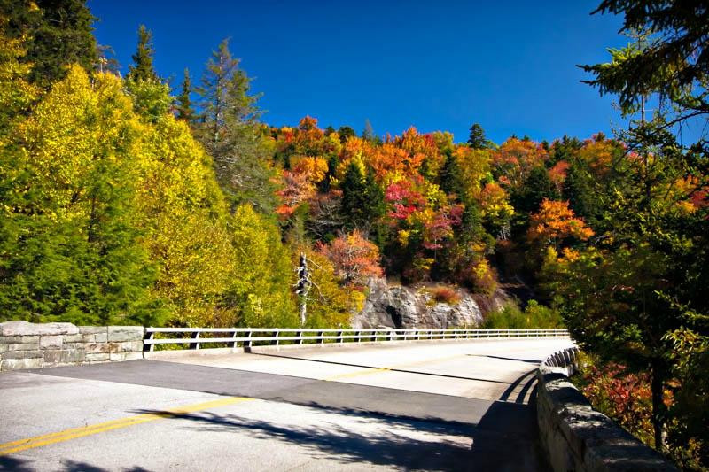 North Carolina Photo Safaris景点图片