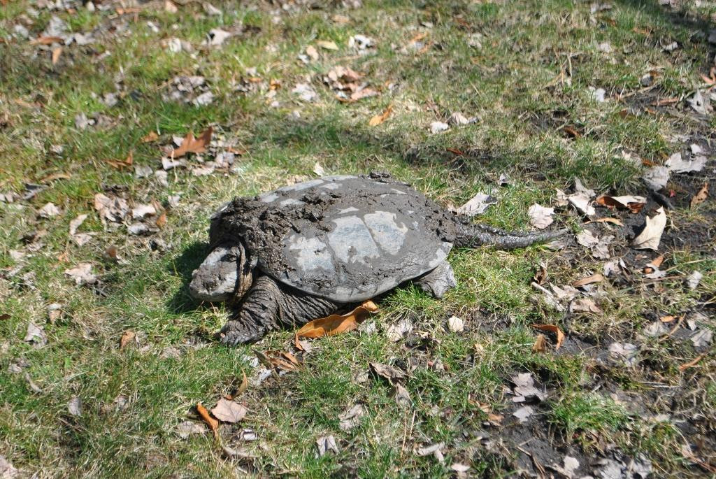 Bethany Beach Nature Center-Bethany Beach必去景点
